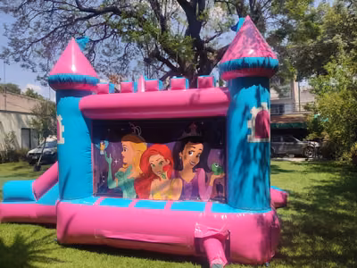 Castillo de Princesas Disney para fiesta de niña en jardín