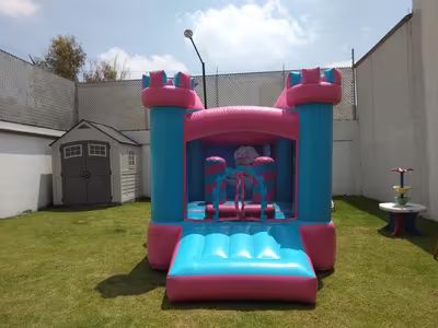 Castillo inflable de princesas con tobogán