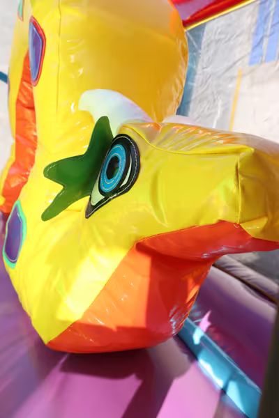 Evento infantil con inflable instalado en jardín en CDMX