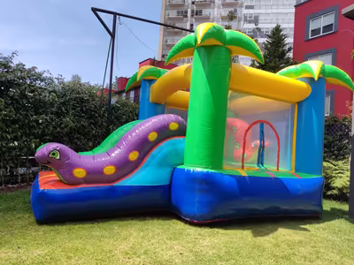 Fiesta infantil con inflable montado por DENFLAB en CDMX
