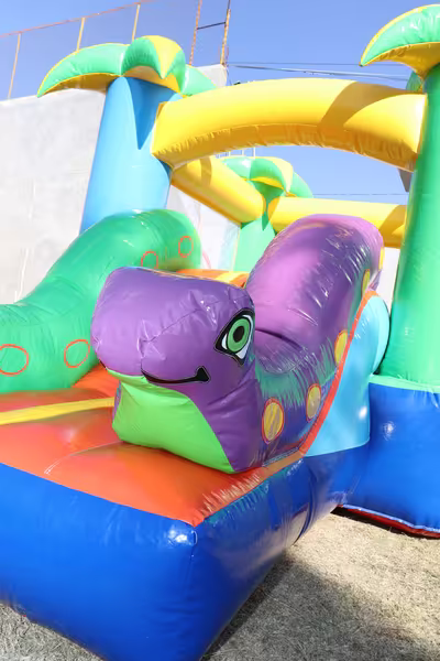 Fiesta en jardín con inflable para niños en CDMX