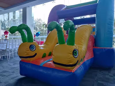 Fiesta en jardín con inflable para niños en CDMX