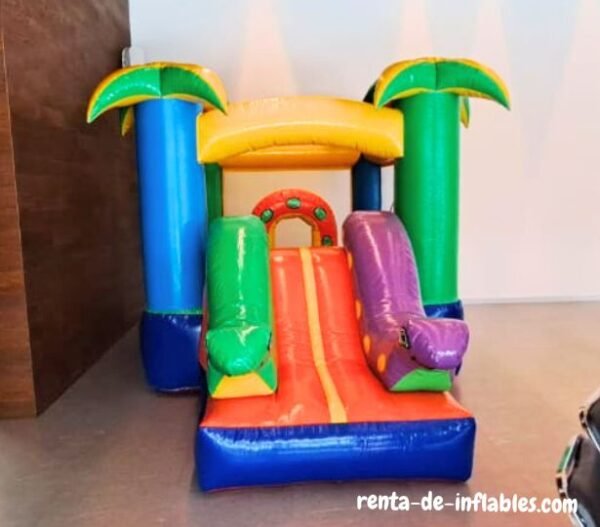 Renta de inflables para eventos familiares