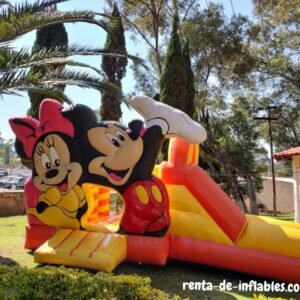 renta de tobogan inflable