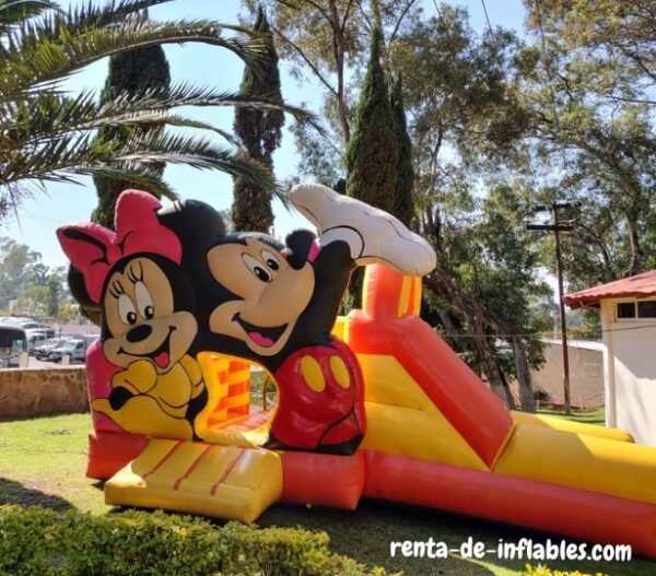 renta de tobogan inflable