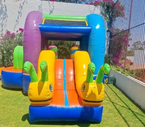 renta de inflables para cumpleaños en cdmx